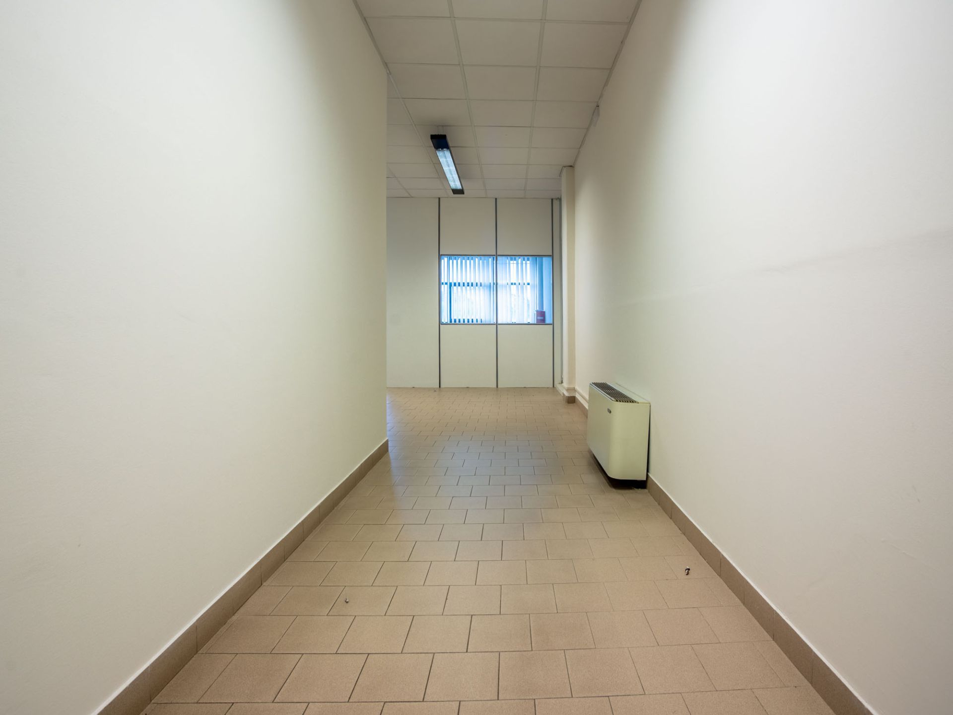 Ingresso