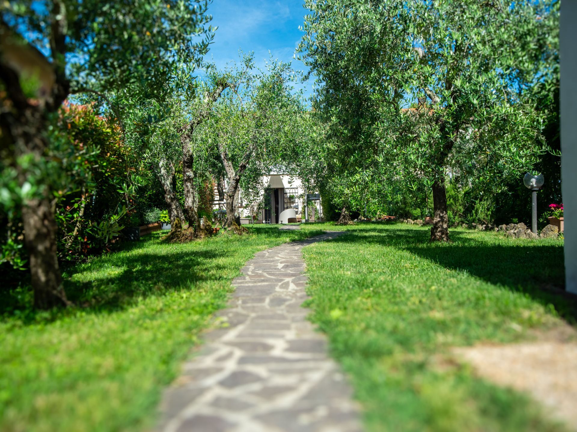 Giardino