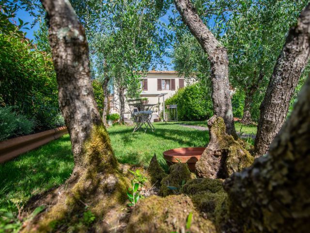 Giardino