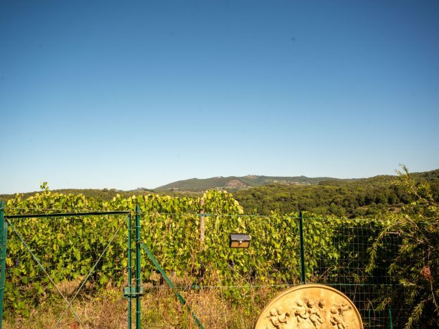 Panorama-Affaccio