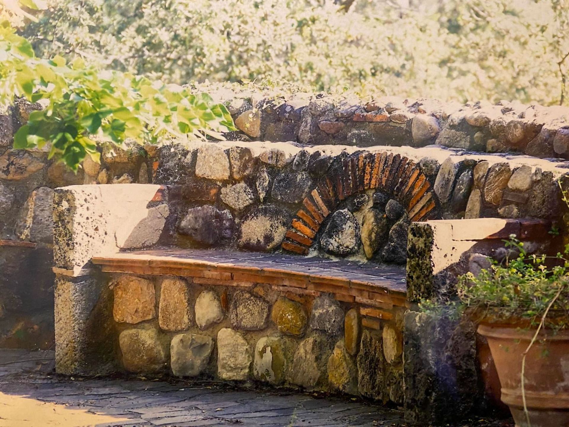 Giardino