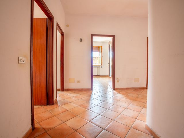 Ingresso