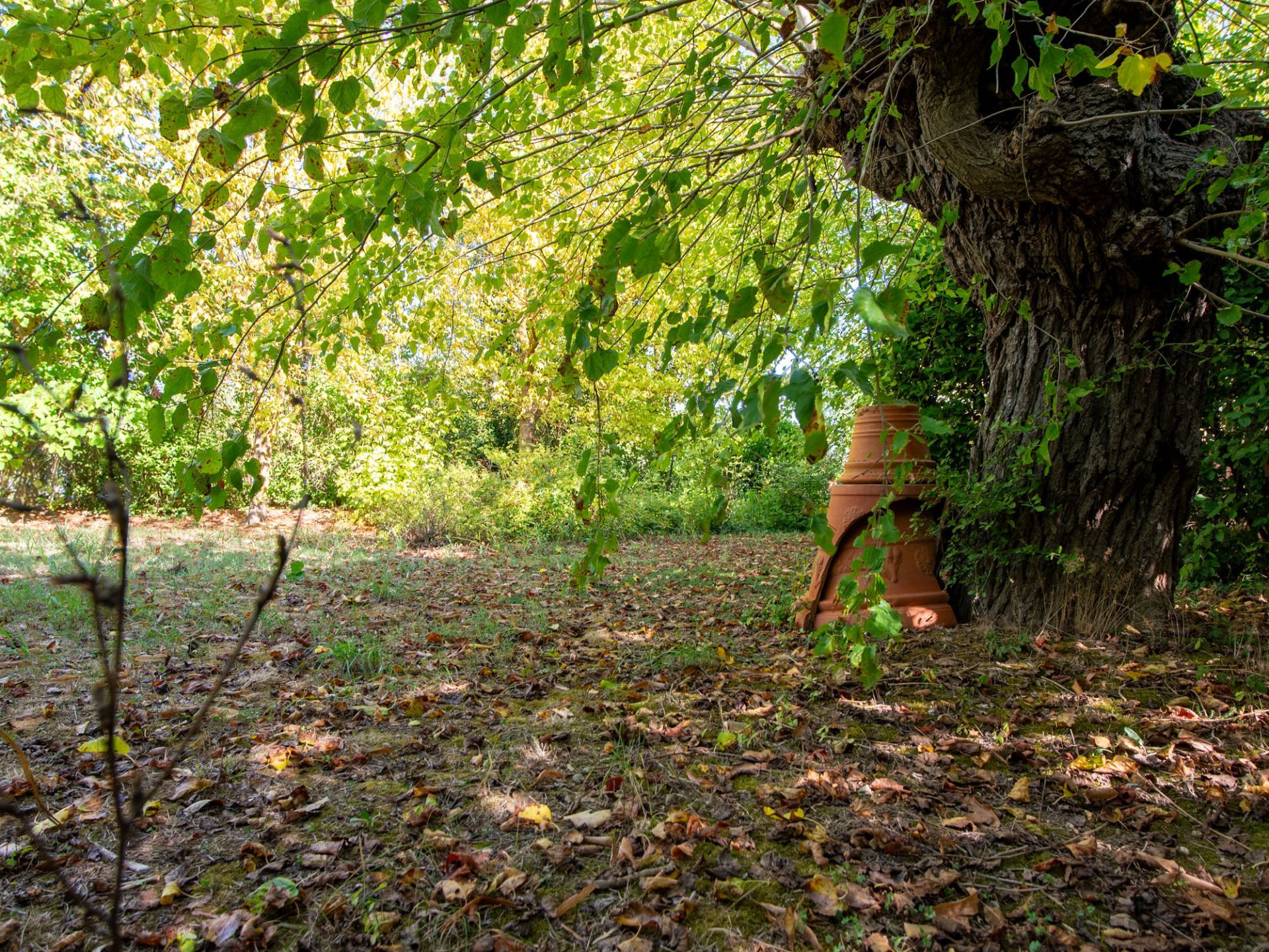 Giardino