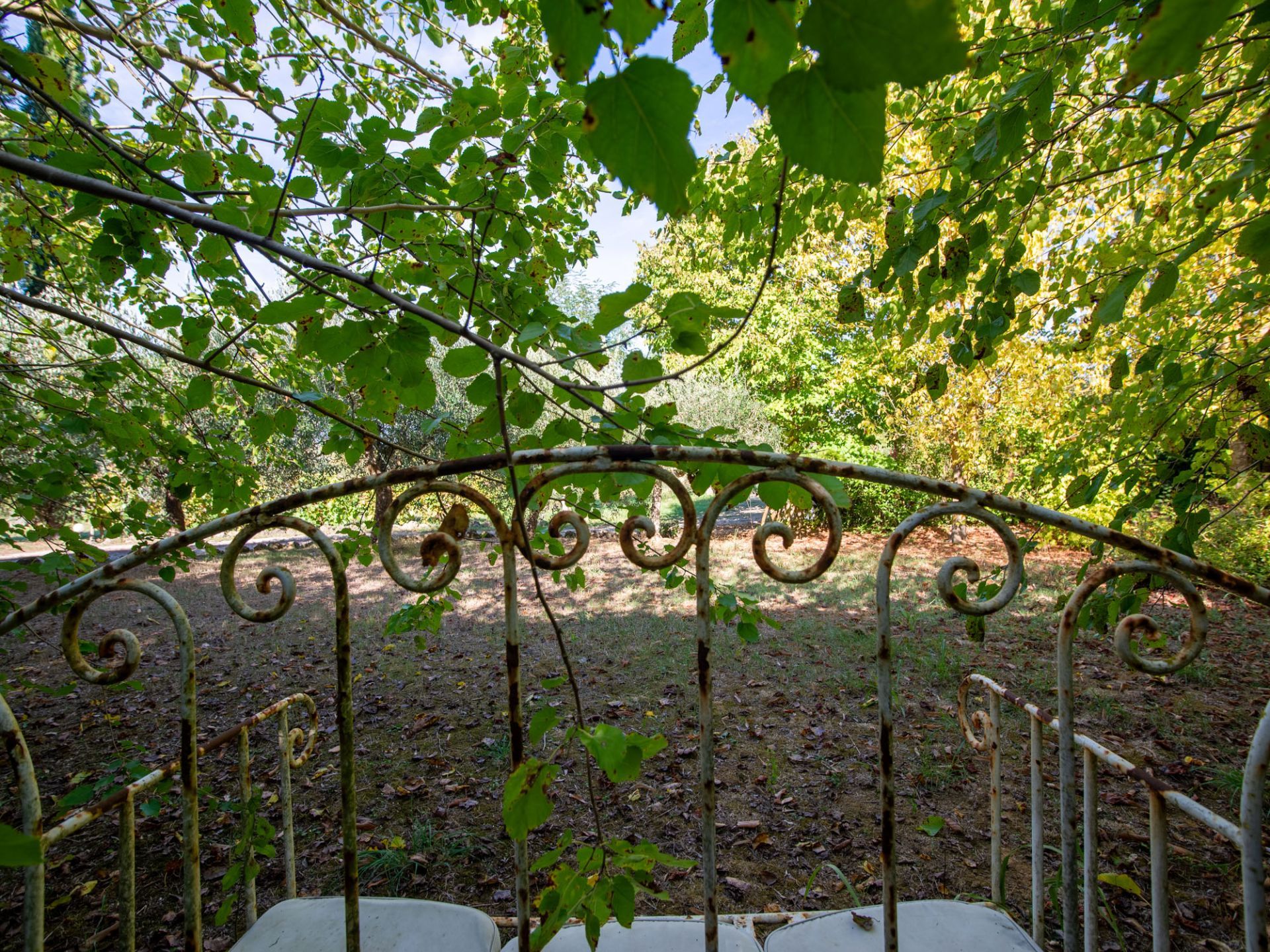 Giardino