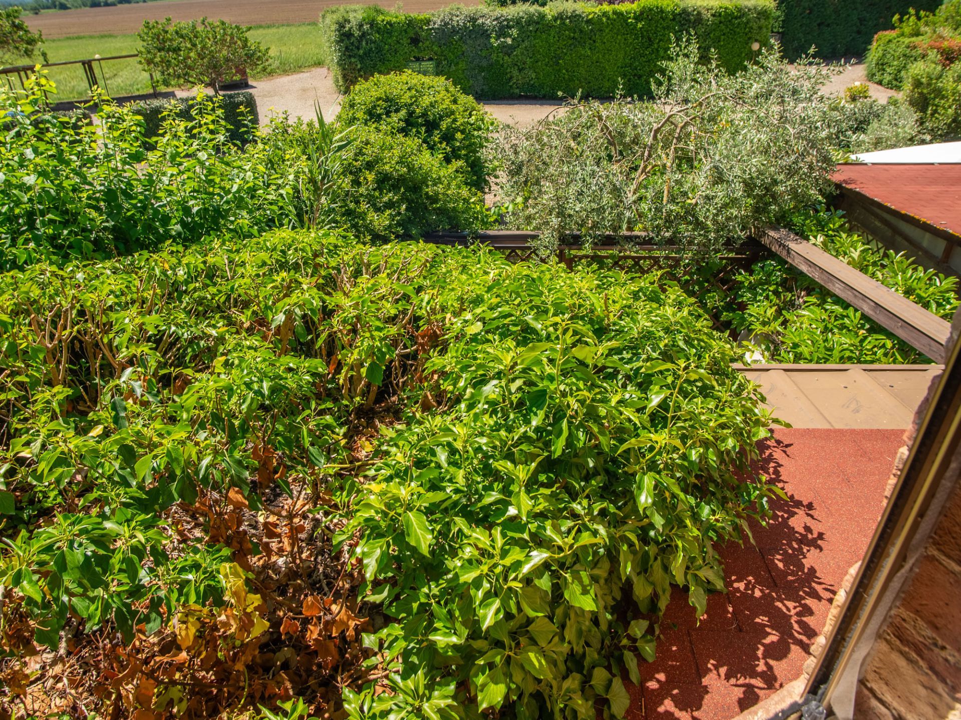 Panorama-Affaccio