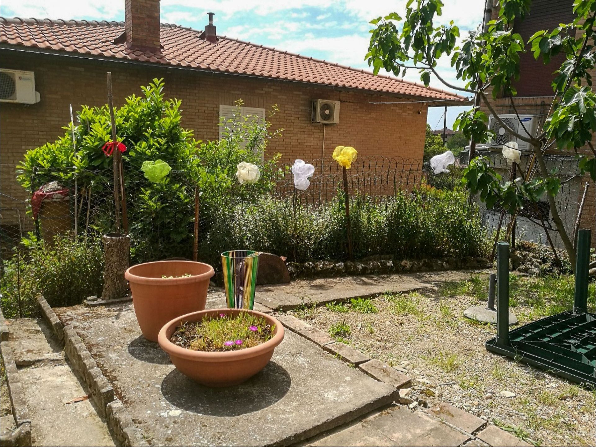 Giardino