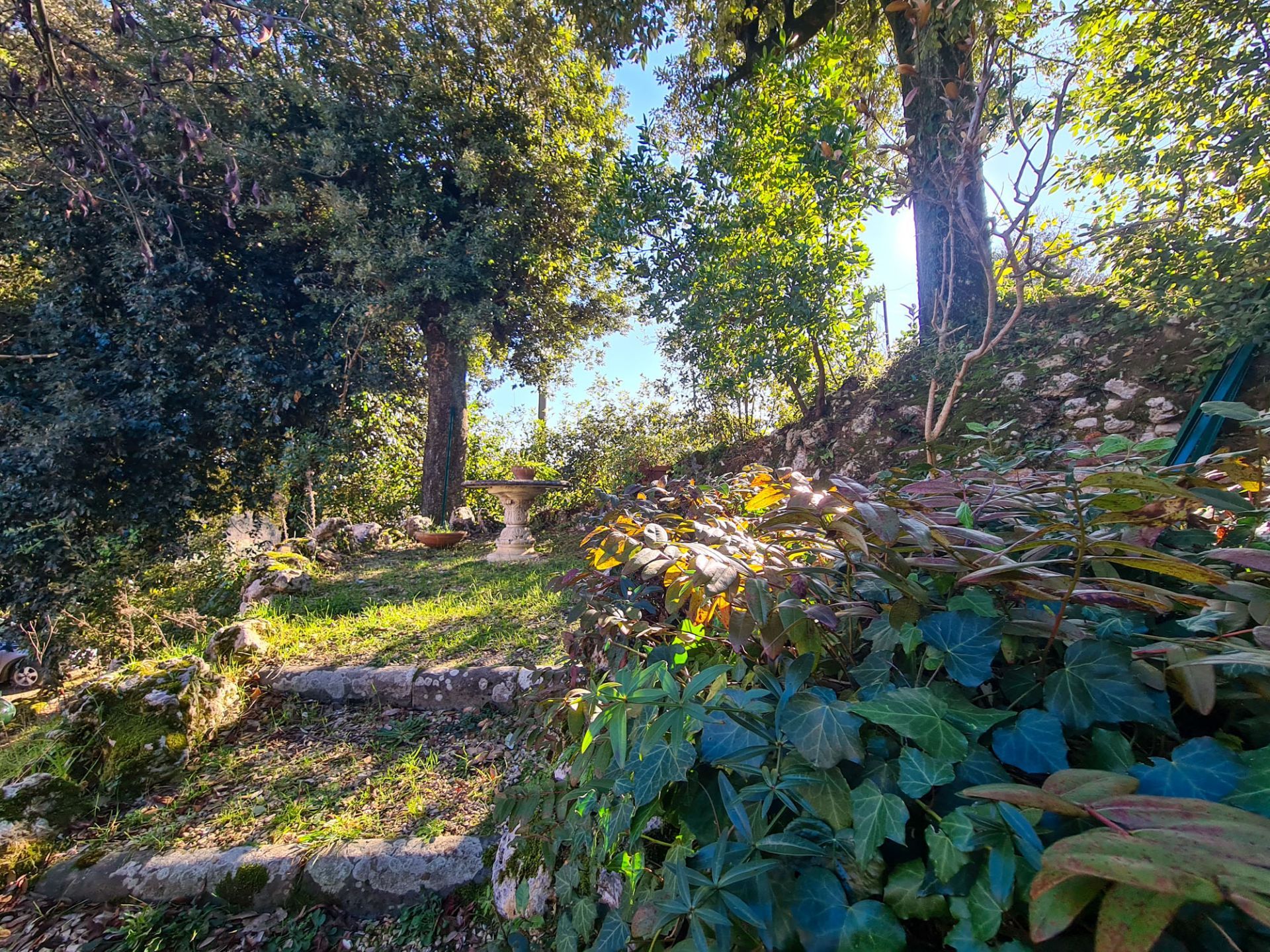 Giardino