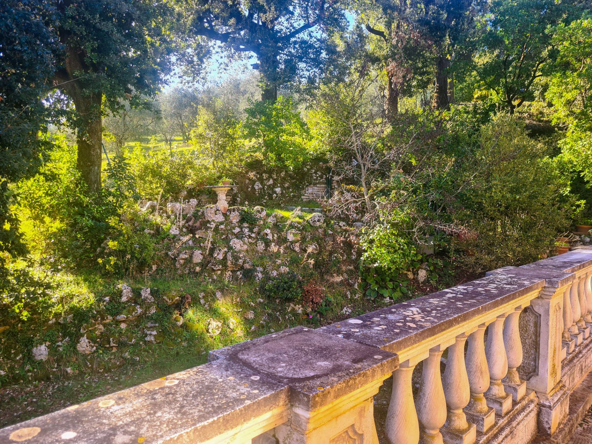 Giardino