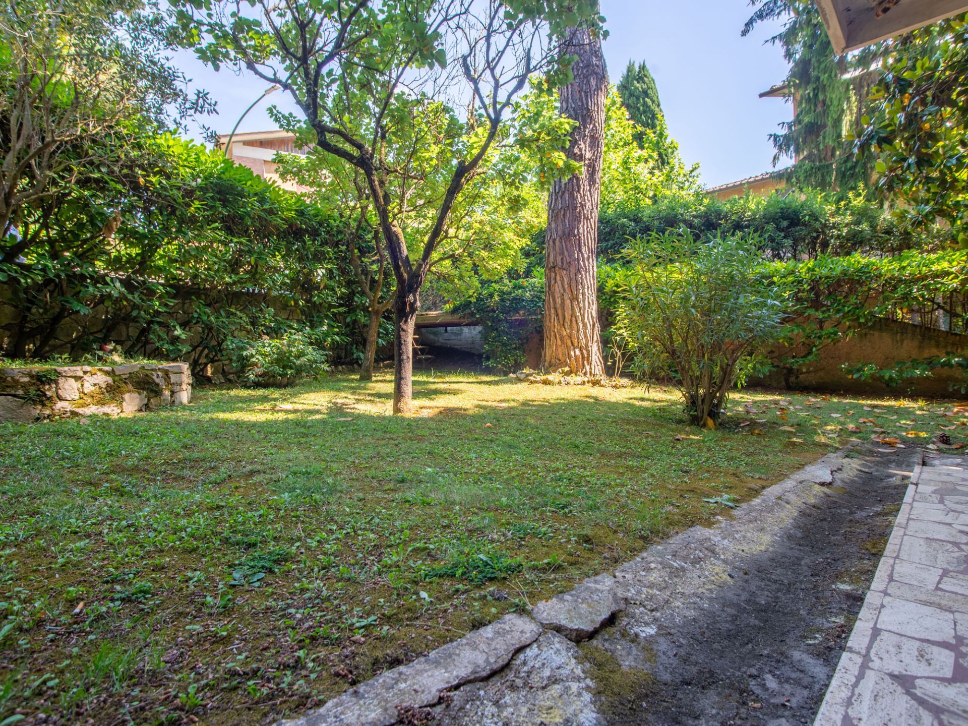 Giardino