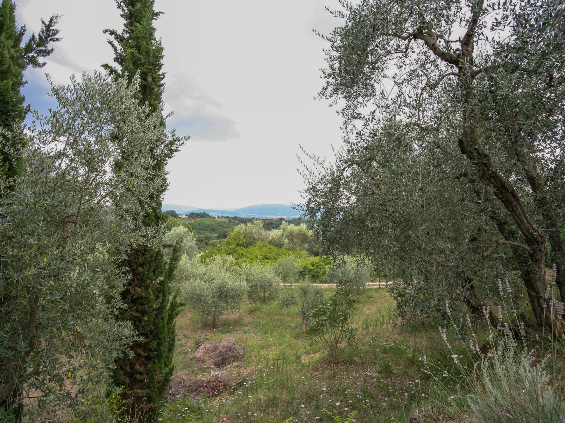 Panorama-Affaccio