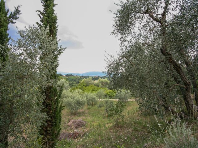 Panorama-Affaccio