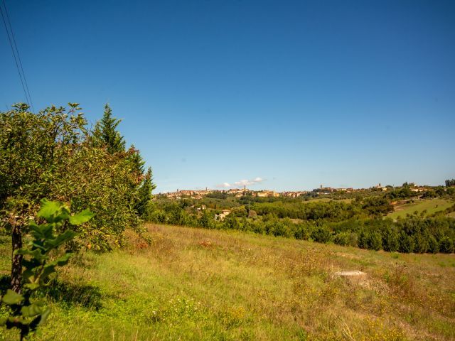 Panorama-Affaccio
