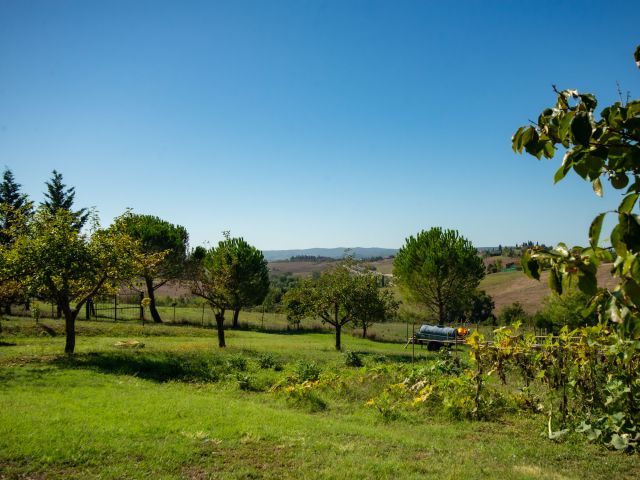 Panorama-Affaccio