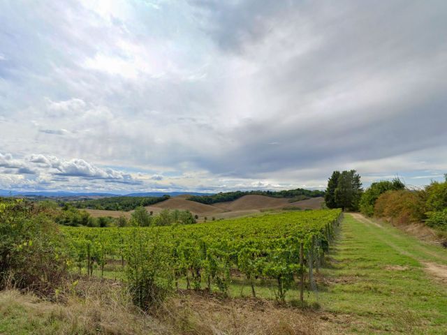 Panorama-Affaccio