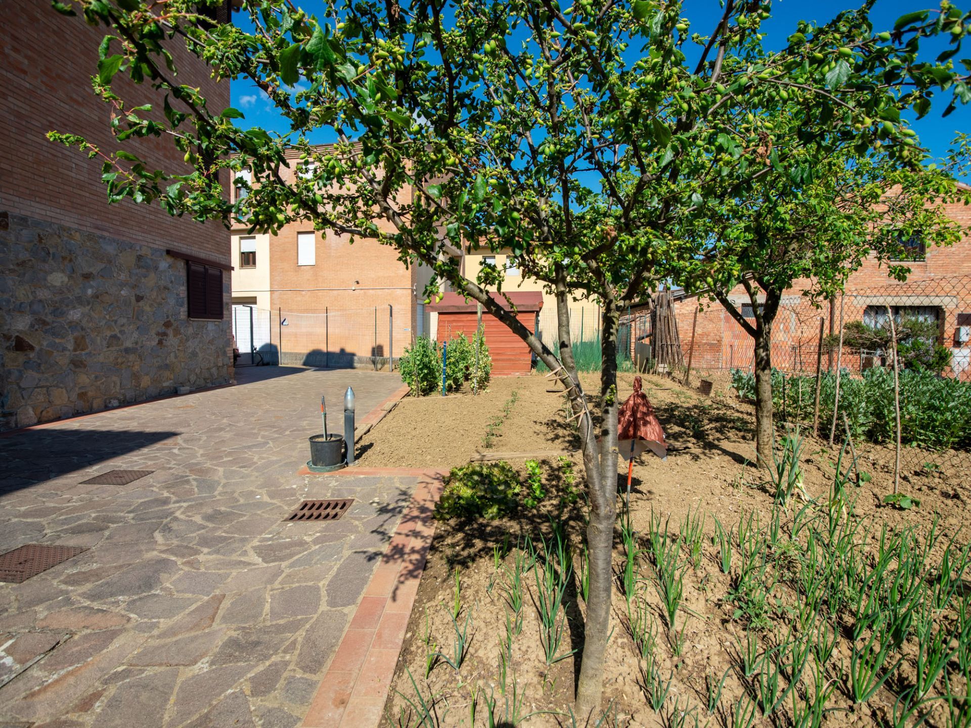 Giardino
